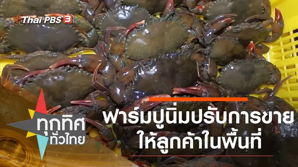 ทุกทิศทั่วไทย