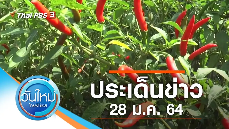 วันใหม่  ไทยพีบีเอส
