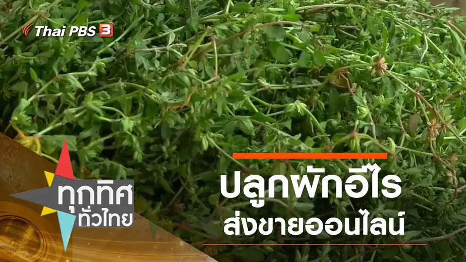 ทุกทิศทั่วไทย