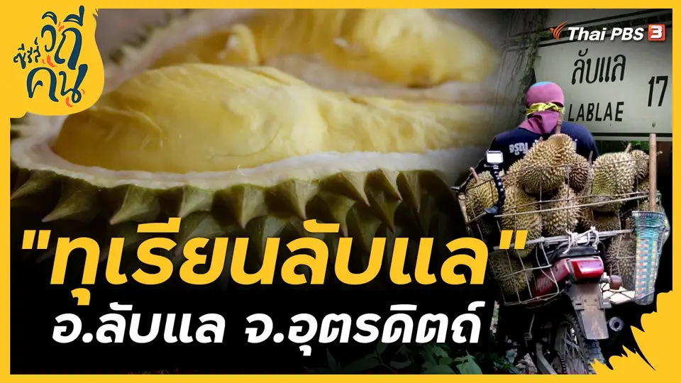 ซีรีส์วิถีคน