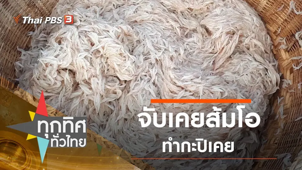 ทุกทิศทั่วไทย
