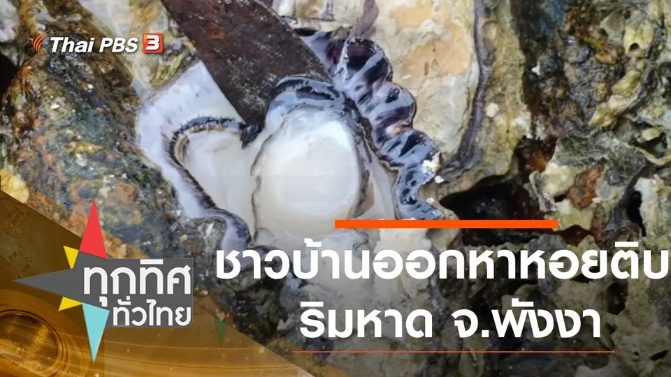 ทุกทิศทั่วไทย