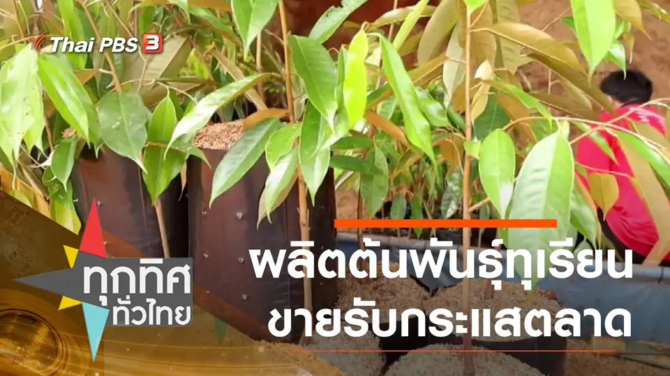 ทุกทิศทั่วไทย