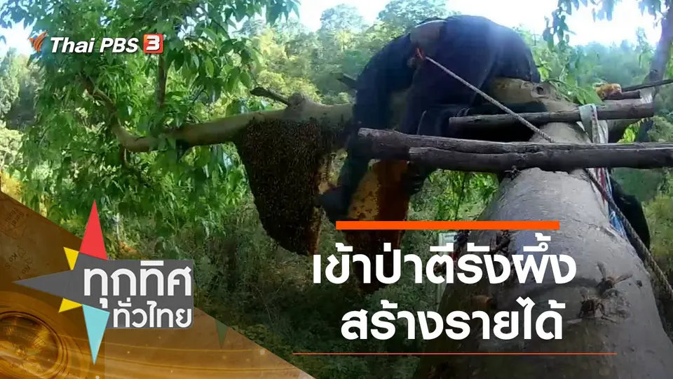 ทุกทิศทั่วไทย
