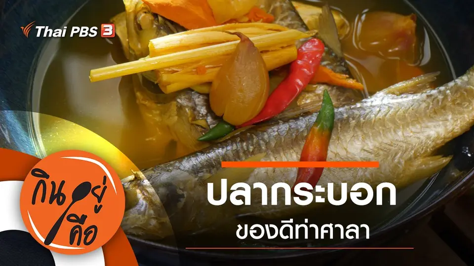 ปลากระบอกของดีท่าศาลา
