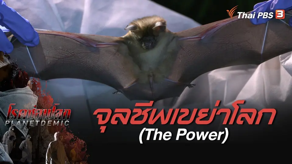 PLANETDEMIC : จุลชีพเขย่าโลก (The Power)