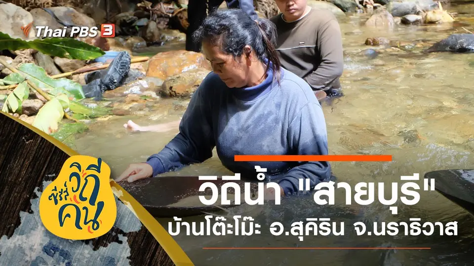 ซีรีส์วิถีคน