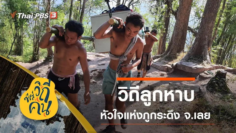 ซีรีส์วิถีคน
