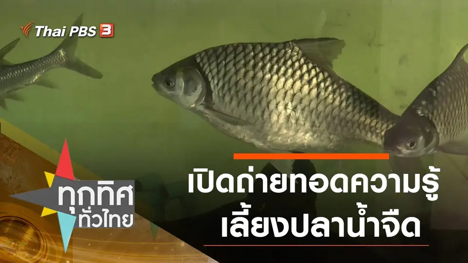 เปิดถ่ายทอดความรู้การเลี้ยงปลาน้ำจืด