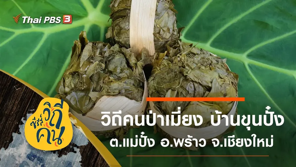 ซีรีส์วิถีคน
