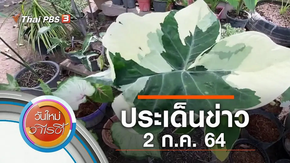 วันใหม่วาไรตี้