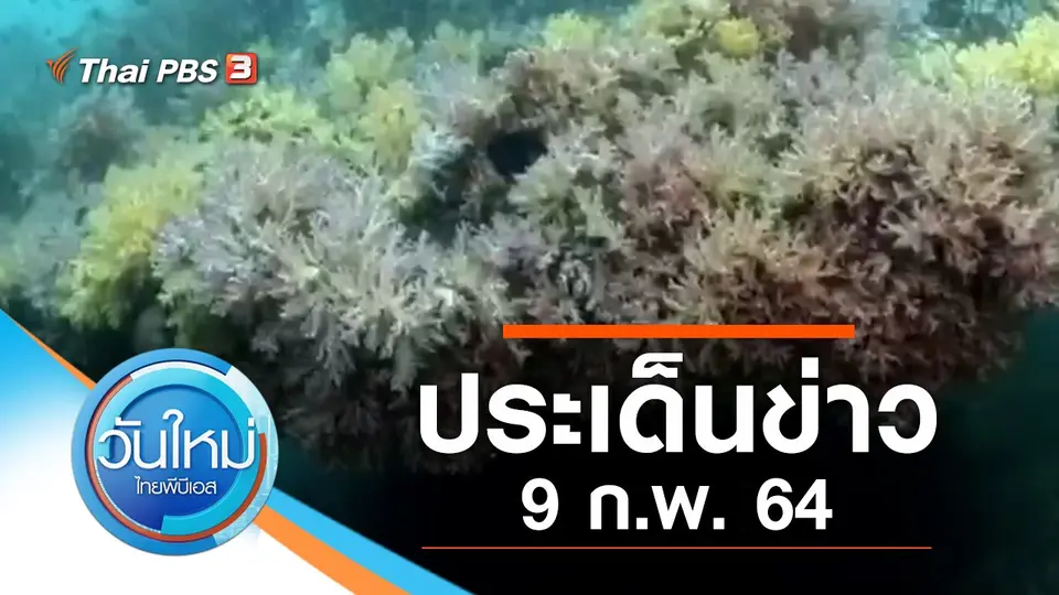 วันใหม่  ไทยพีบีเอส