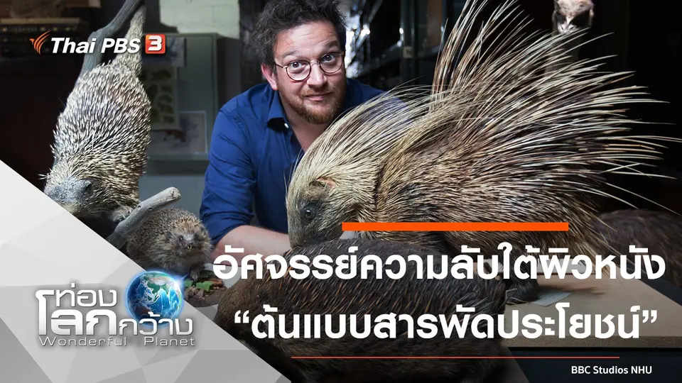 ท่องโลกกว้าง