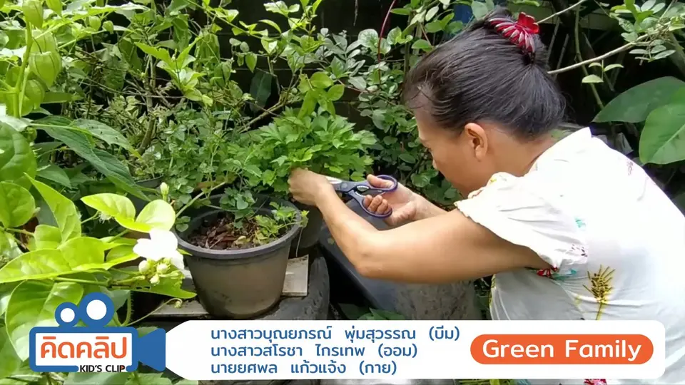 GreenFamily
