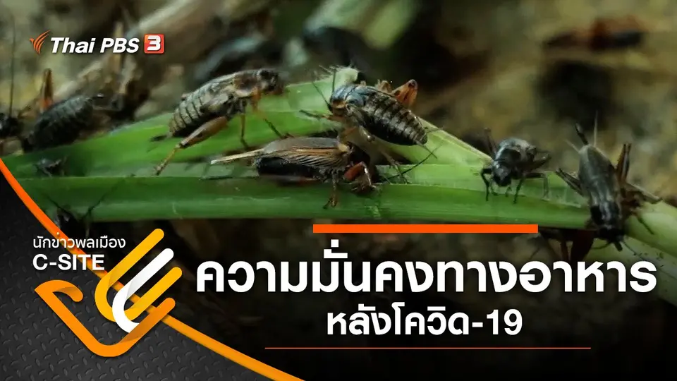 ความมั่นคงทางอาหาร หลังโควิด-19
