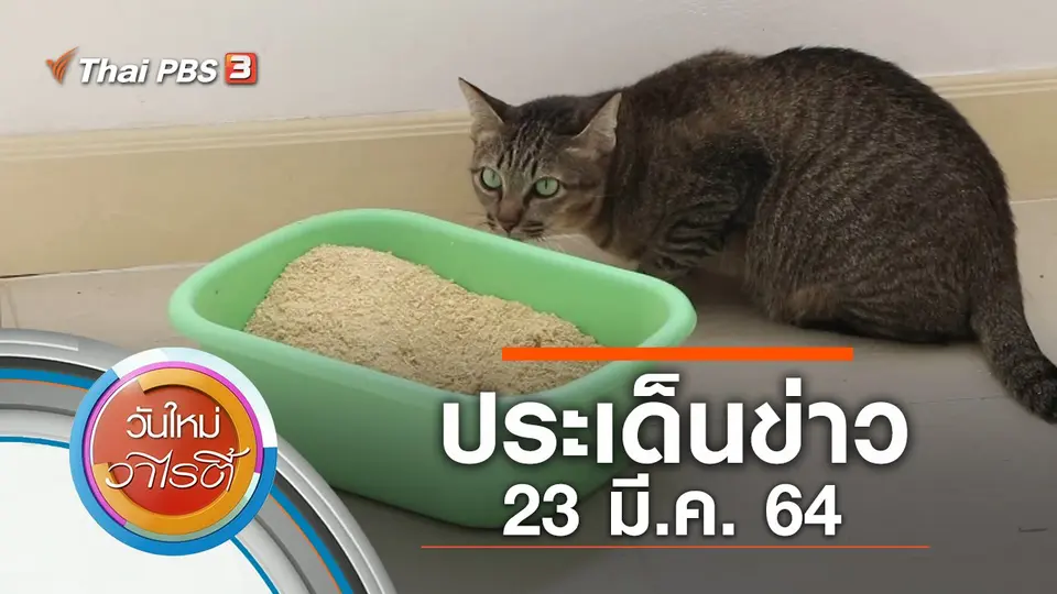วันใหม่วาไรตี้