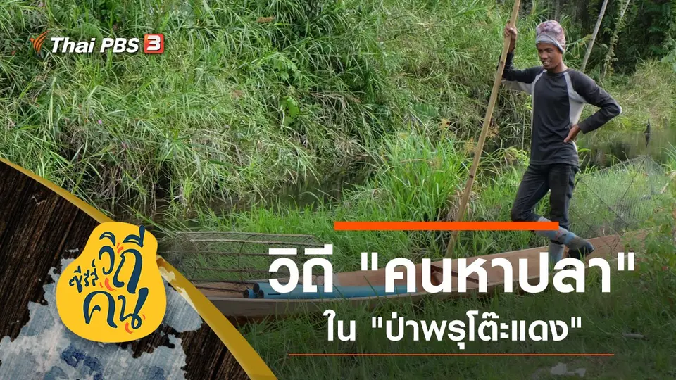 ซีรีส์วิถีคน