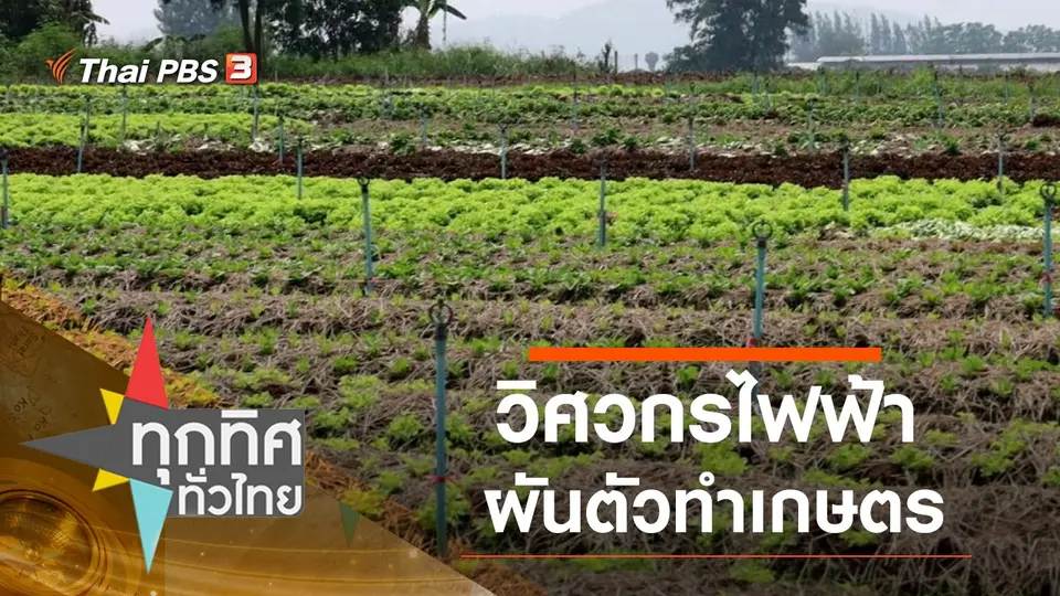 ทุกทิศทั่วไทย