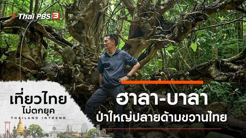 ฮาลา-บาลา ป่าใหญ่ปลายด้ามขวานไทย  อำเภอสุคิริน จังหวัดนราธิวาส