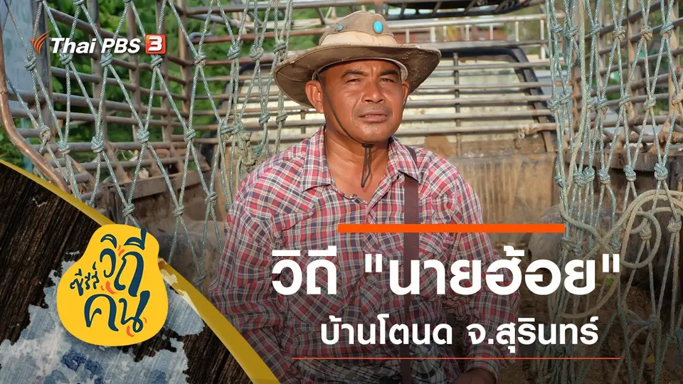 ซีรีส์วิถีคน