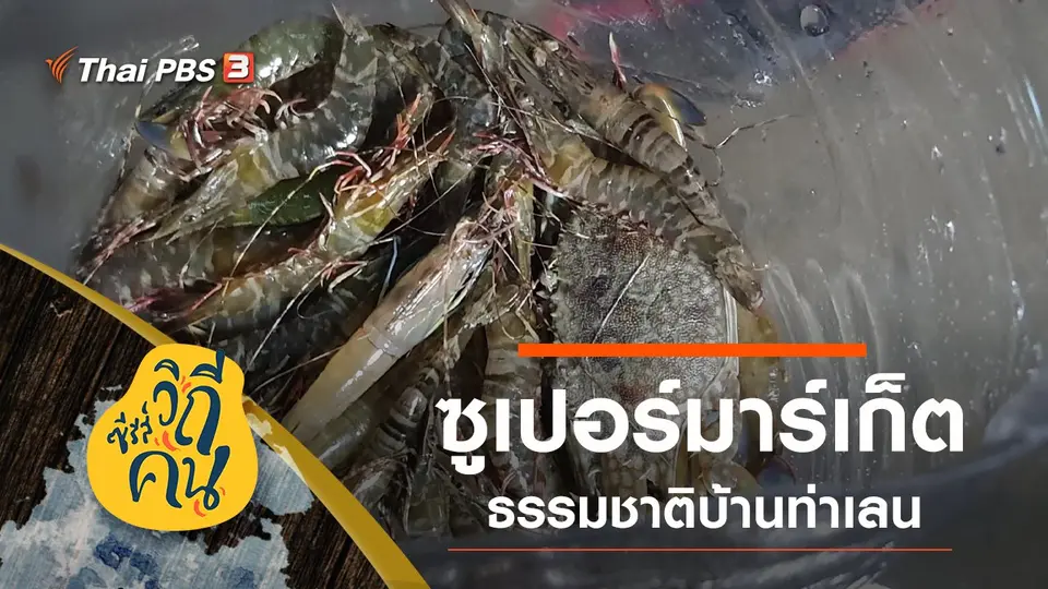 ซีรีส์วิถีคน