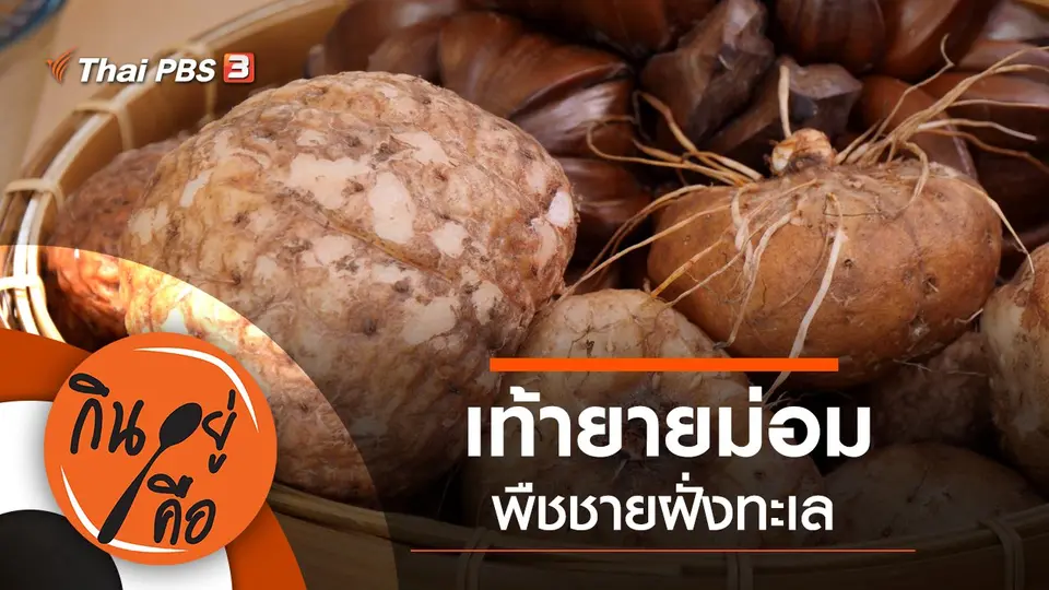 กินอยู่คือ