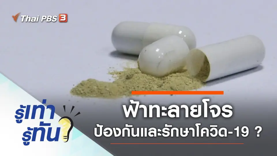 ฟ้าทะลายโจรป้องกันและรักษาโควิด-19 ได้จริงหรือ ?