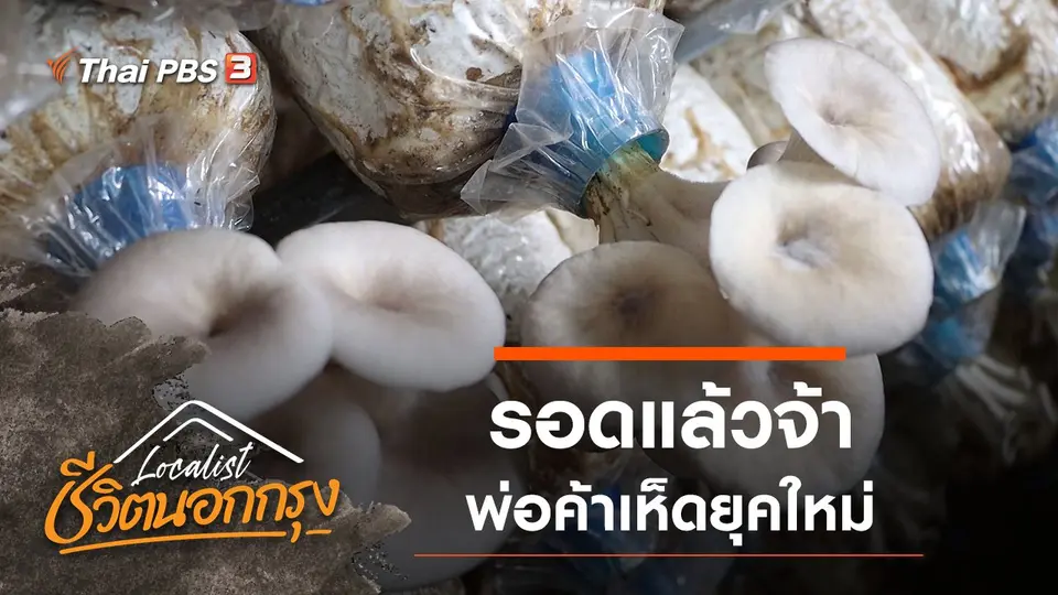 รอดแล้วจ้า พ่อค้าเห็ดยุคใหม่