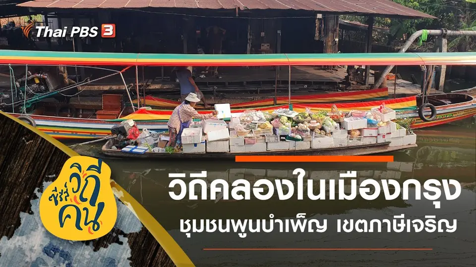 ซีรีส์วิถีคน