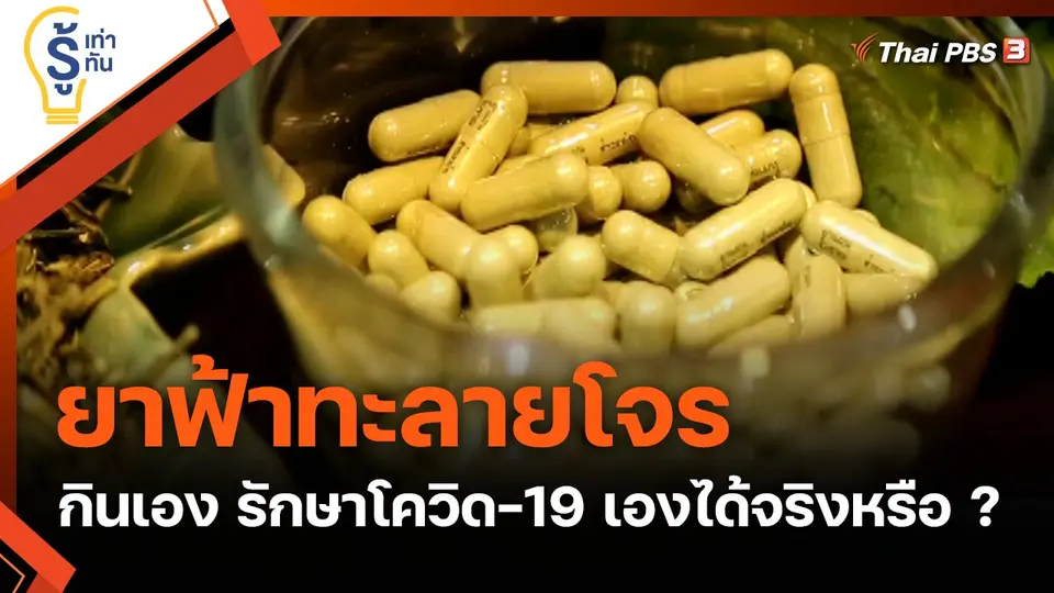 ยาฟ้าทะลายโจร กินเอง รักษาโควิด-19 เองได้จริงหรือ ?