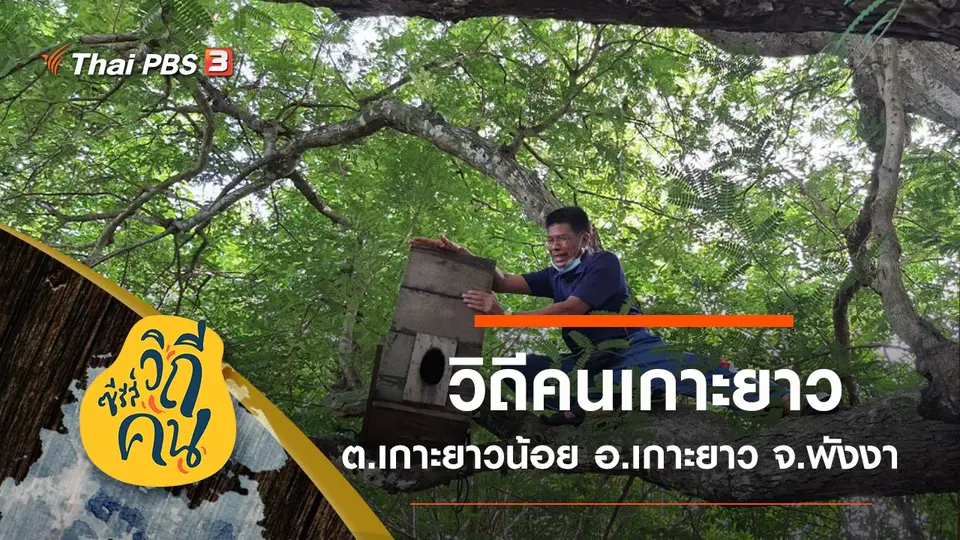 ซีรีส์วิถีคน