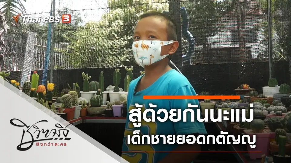 สู้ด้วยกันนะแม่