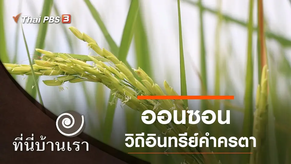 ที่นี่บ้านเรา