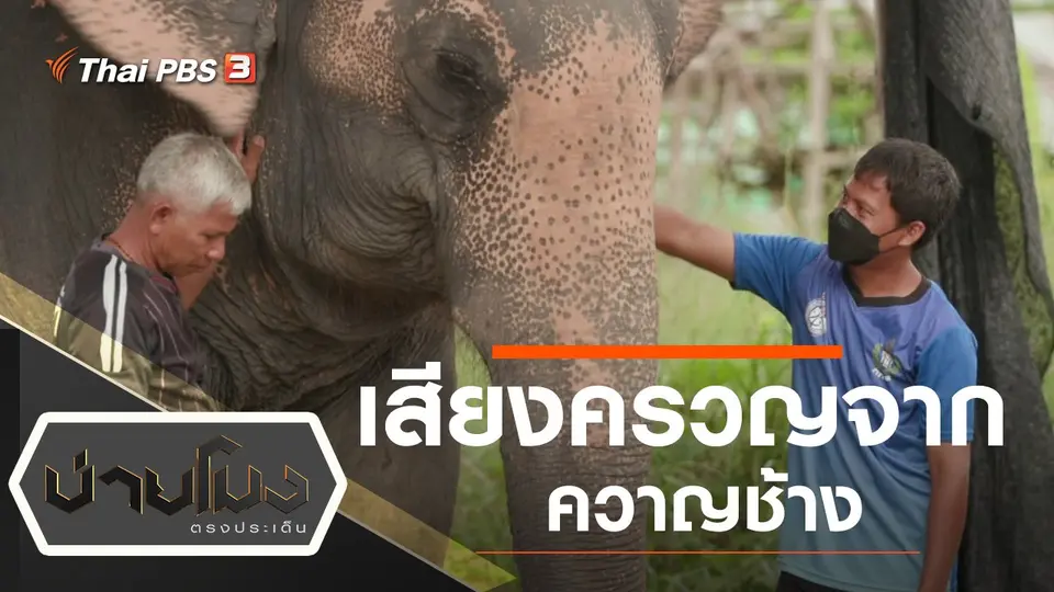 บ่ายโมง ตรงประเด็น