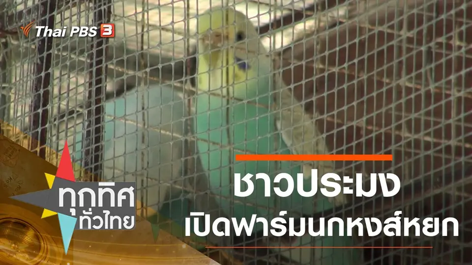 ชาวประมงเปิดฟาร์มนกหงส์หยก