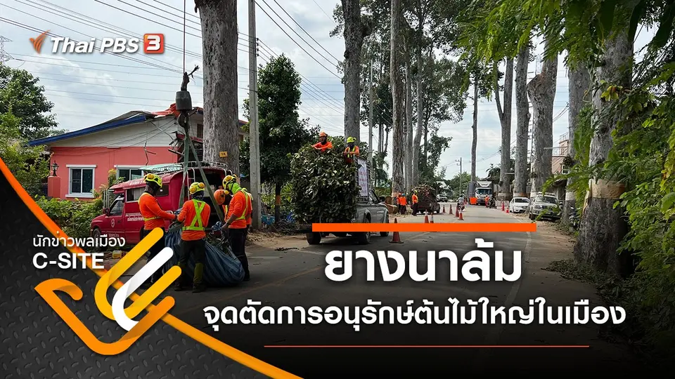 นักข่าวพลเมือง C-Site