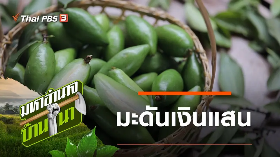 มหาอำนาจบ้านนา