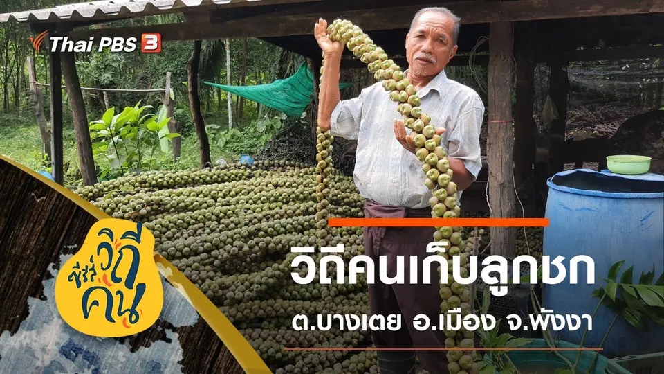 ซีรีส์วิถีคน