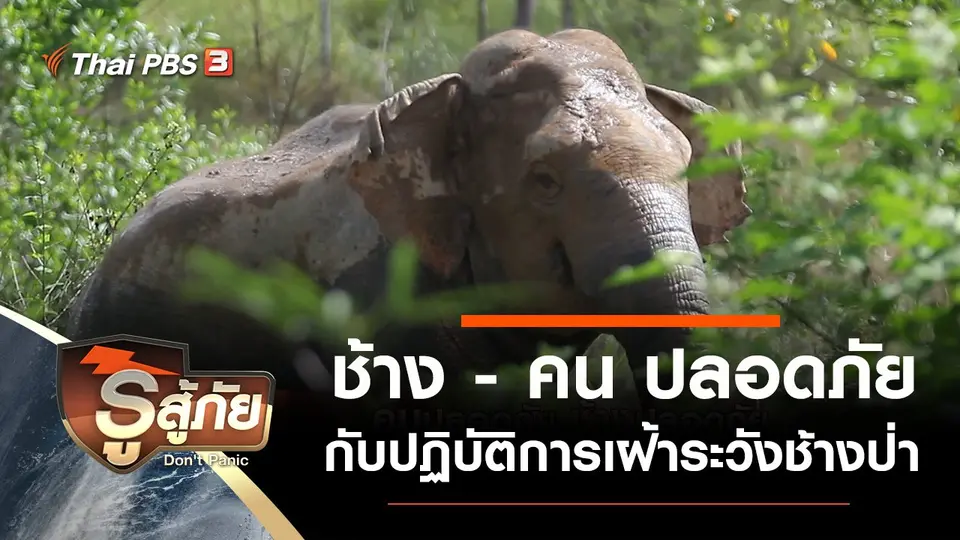 รู้สู้ภัย Don't Panic