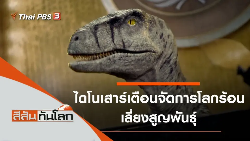 สีสันทันโลก