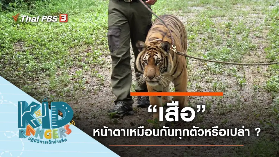 Kid Rangers ปฏิบัติการเด็กช่างคิด