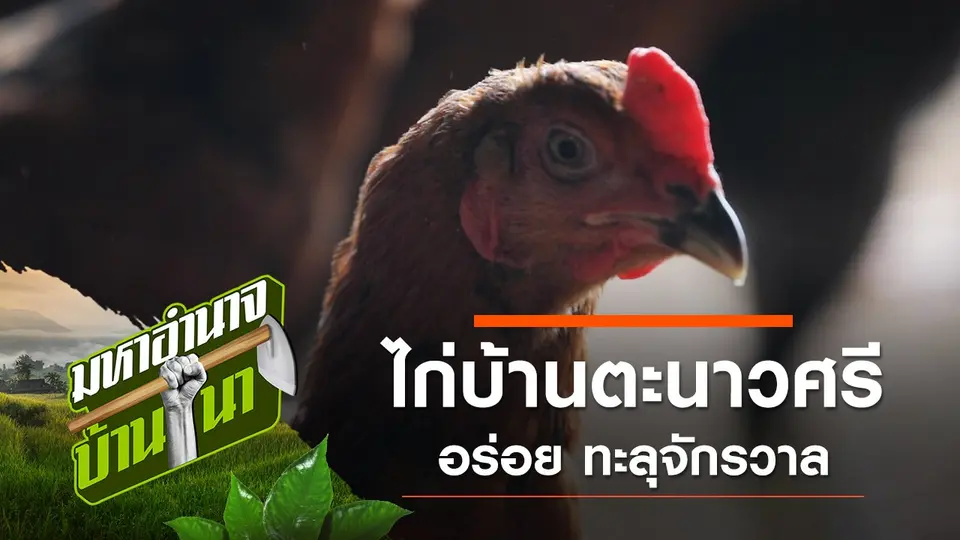 มหาอำนาจบ้านนา