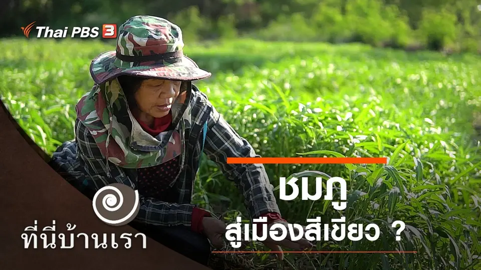 ที่นี่บ้านเรา