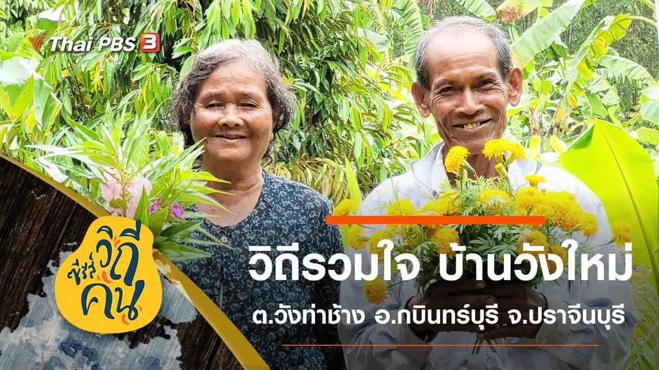 ซีรีส์วิถีคน