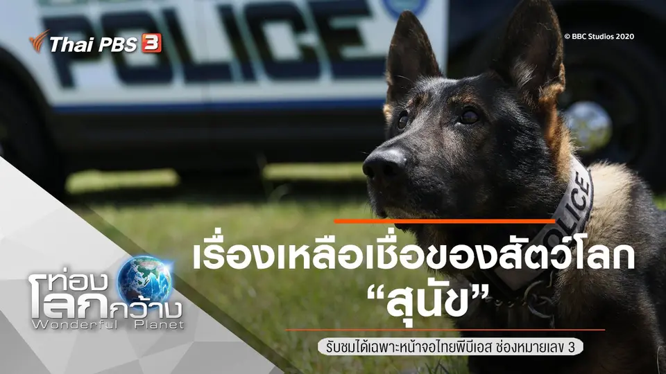 ท่องโลกกว้าง