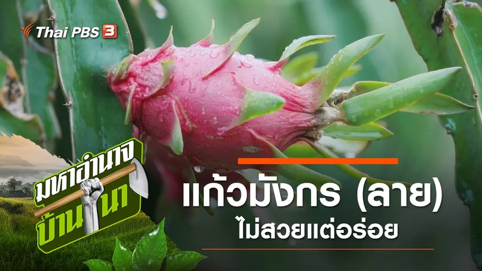 มหาอำนาจบ้านนา