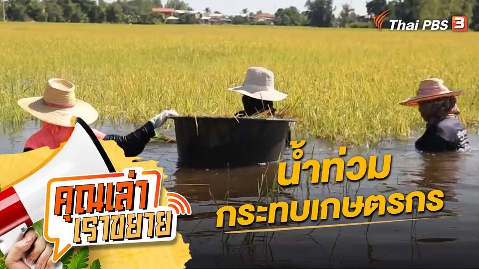 คุณเล่า เราขยาย