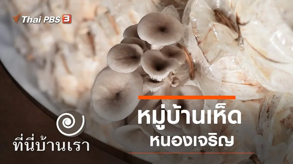 ที่นี่บ้านเรา