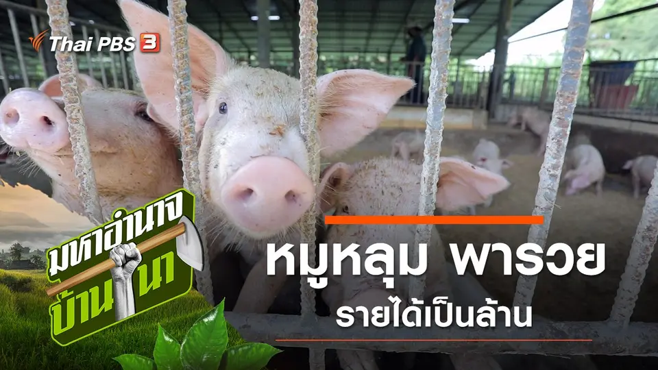 มหาอำนาจบ้านนา