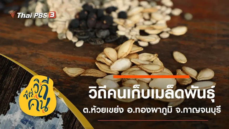 ซีรีส์วิถีคน
